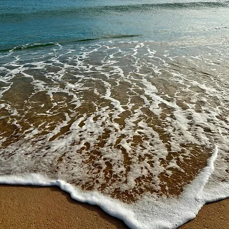 By Mtphomes فيلة